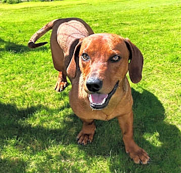 Photo of Charlie