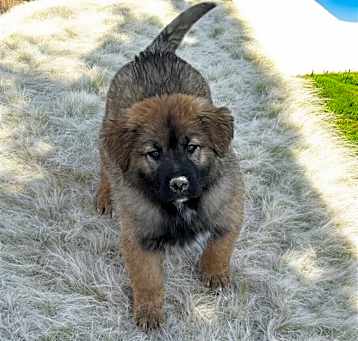 Photo of Smalls