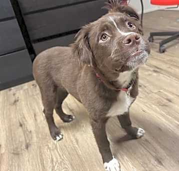 Photo of Cash