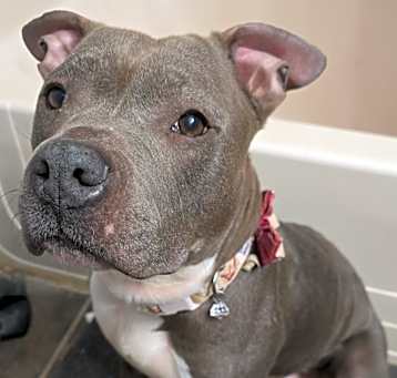 Photo of Diamond