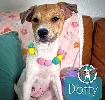 Photo of Dotty Cheeks