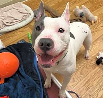 Photo of Pinky