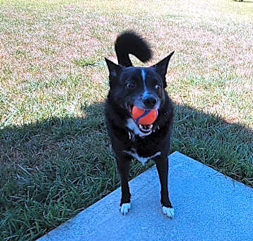 Photo of Jake