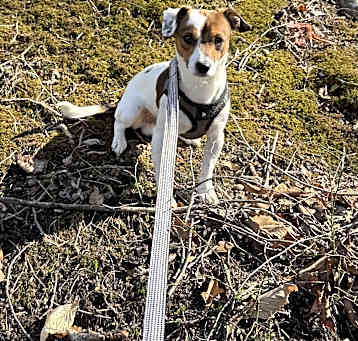 Photo of Burt