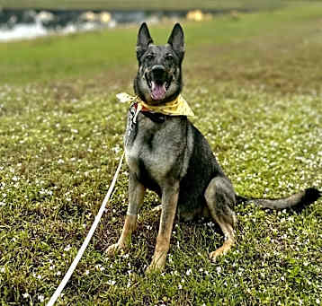 Photo of Sasha
