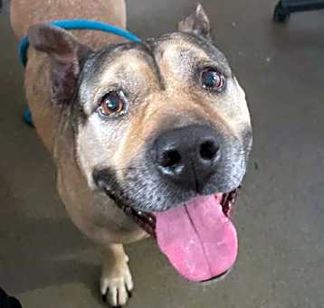 Photo of ROXIE