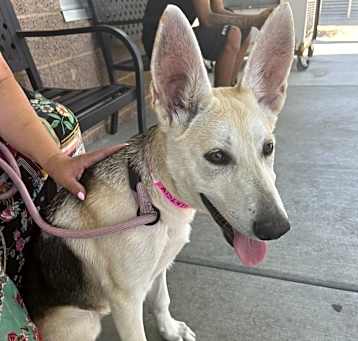 Photo of Lola
