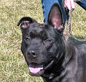 Photo of Brock 