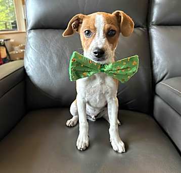 Photo of Malarky O’Malley