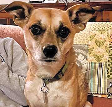 Photo of Sammy