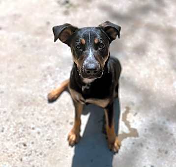 Photo of Mia