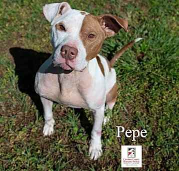 Photo of PePe