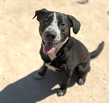 Photo of Diego