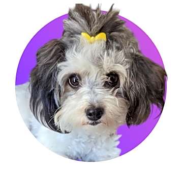 Photo of Carly