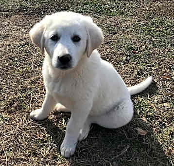 Photo of Clemmy