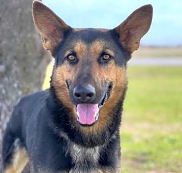 Photo of Bueller