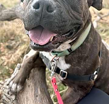 Photo of TITI