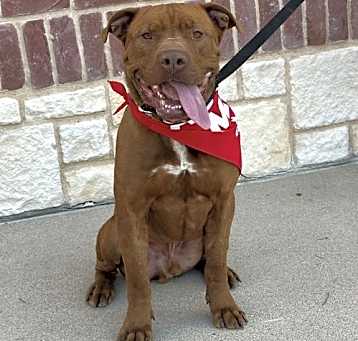 Photo of Tank