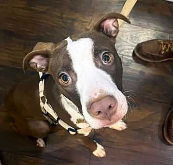 Photo of Gatsby