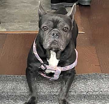 Photo of Maggie May