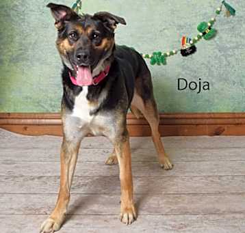 Photo of Doja