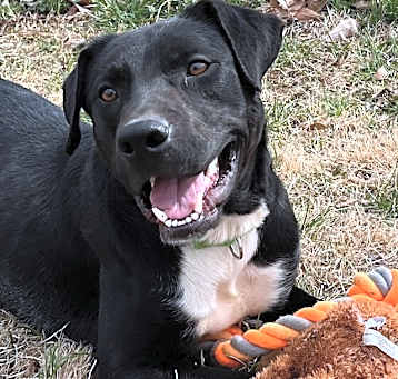Photo of Ferris