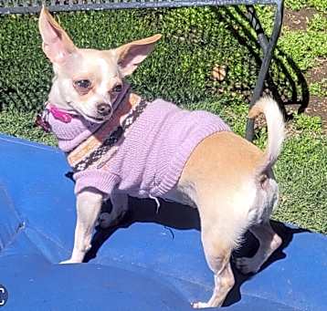 Photo of TILLY