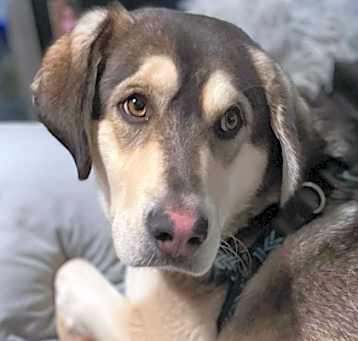 Photo of Edgar
