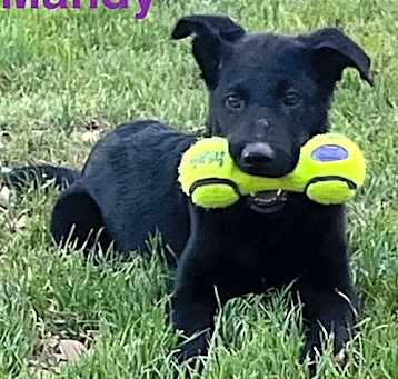 Photo of Mandy