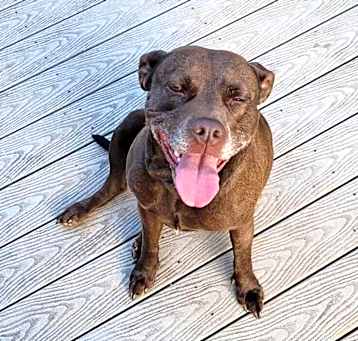 Photo of Belle