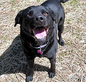 Photo of Doodad