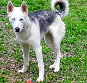 Photo of Aspen