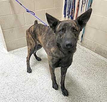Photo of ASPEN
