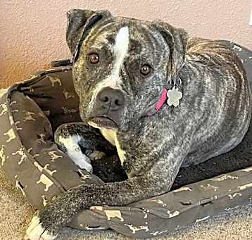 Photo of Lucy
