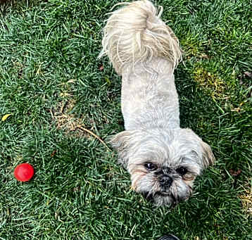 Photo of Roxy