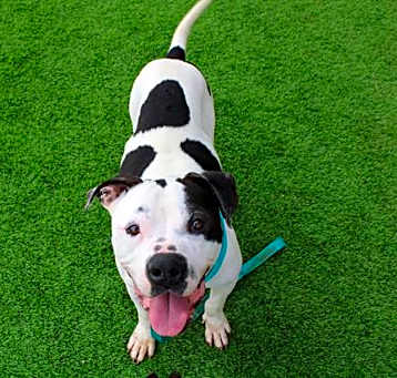 Photo of MURPHY