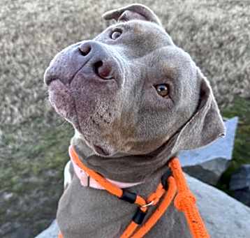 Photo of Patsy