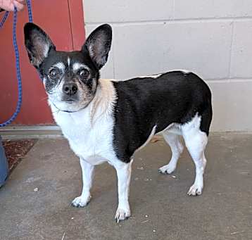 Photo of Allie