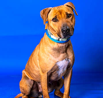 Photo of Reeva