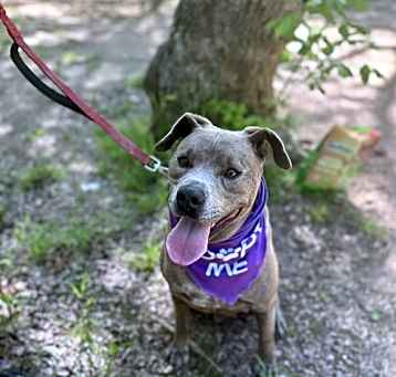 Photo of Duke