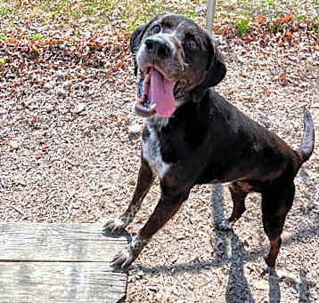 Photo of Clutch