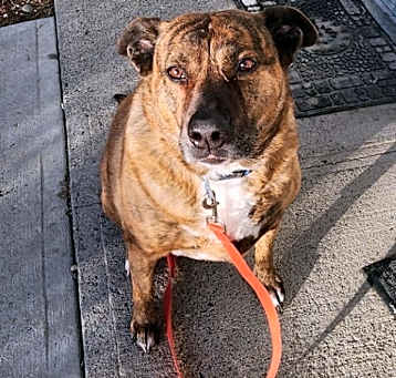 Photo of Lexie