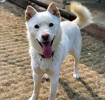 Photo of Deokgu