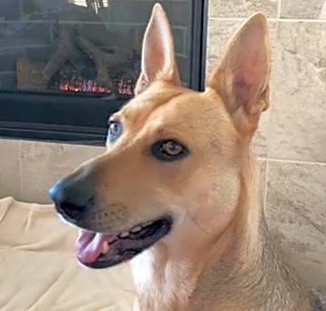Photo of Blue