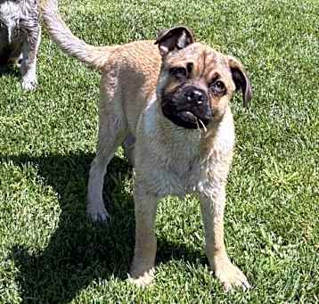 Photo of Theodore