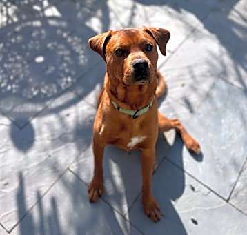 Photo of Max