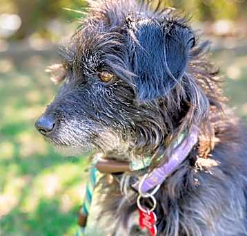 Photo of Fanny