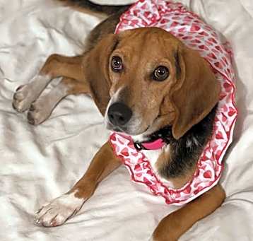 Photo of Lucy