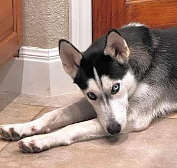Photo of Echo JG
