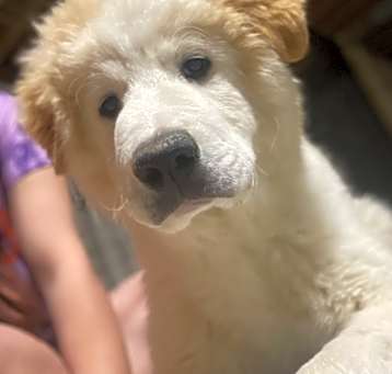 Photo of Hunter